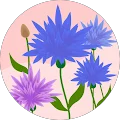 Chloe M. Avatar